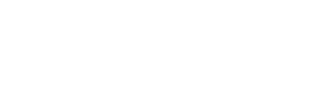 Nalloru Studio logo