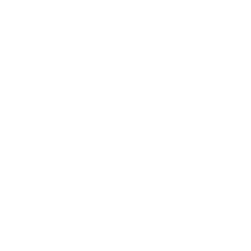 Nalloru Studio logo
